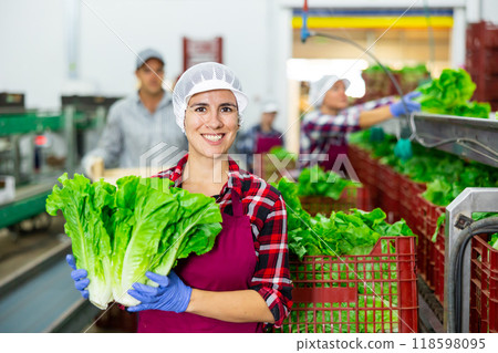 Portrait of young woman vegetable factory worker standing at conveyor and holding lettuce leaves 118598095