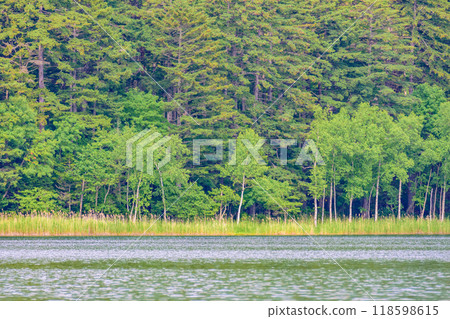Eastern Hokkaido: Silent Lake Onneto 118598615