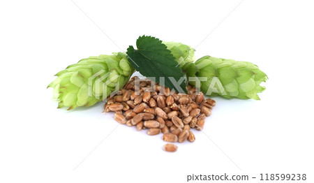 Fresh green hops cones with a leaf and wheat grains isolated on white background Fresh green hops cones with a leaf and wheat grains isolated on white background 118599238