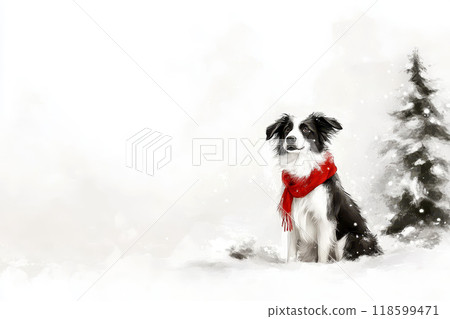 collie dog with red scarf sitting on snow winter. Christmas festival concept. 118599471