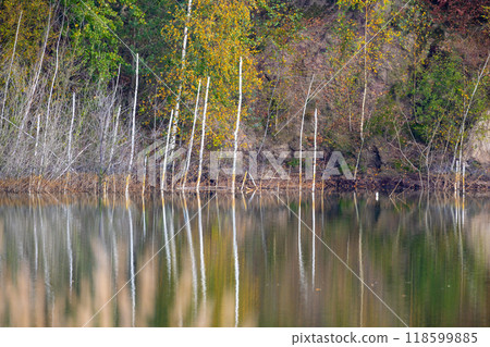 A picturesque scene of trees reflecting in a serene lake A picturesque scene of trees reflecting in a serene lake 118599885