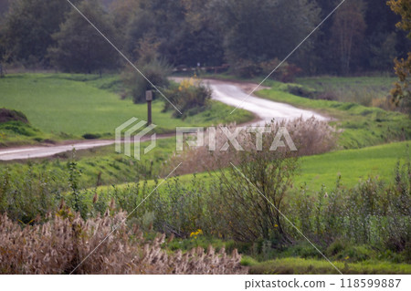 A scenic road passing through a lush green field with trees in the backdrop A scenic road passing through a lush green field with trees in the backdrop 118599887