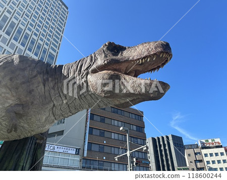 肉食性恐龍暴龍 118600244