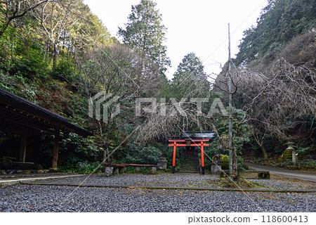 日向大神宮境內 神田稻荷大神 118600413