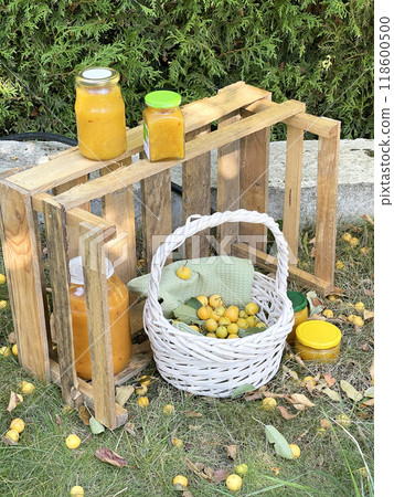 Rolled jars of jam under tree with apples. Harvest in garden. Small yellow apples and jam for dessert, cooking for winter. Environmentally friendly product. Rolled jars of jam under tree with apples. Harvest in garden. Small yellow apples and jam for dessert, cooking for winter. Environmentally friendly product. 118600500