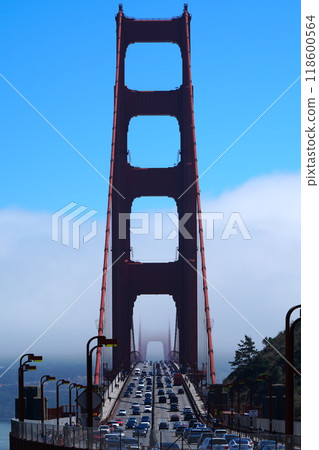 Golden Gate Bridge Golden Gate Bridge 118600564