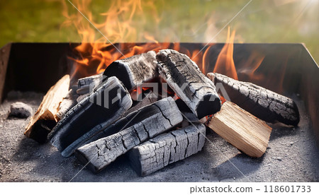 Charcoal fire 118601733