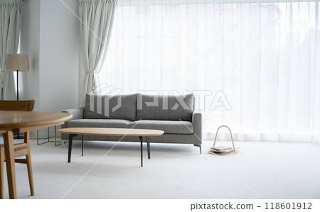 Window, sunlight, sofa 118601912