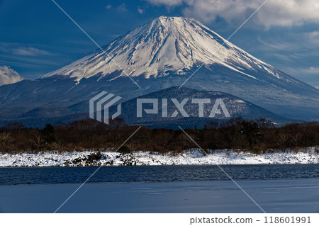 冬天從精進湖畔看到的富士山 冬天從精進湖畔看到的富士山 118601991