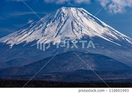 冬天從精進湖畔看到的富士山 冬天從精進湖畔看到的富士山 118601993
