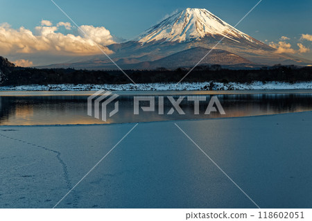 冬天從精進湖畔看到的富士山 118602051
