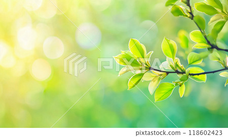 Green leaves in the morning sun and soft focus bokeh background in light tones 118602423