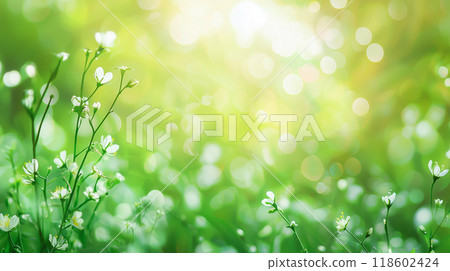Green leaves in the morning sun and soft focus bokeh background in light tones 118602424