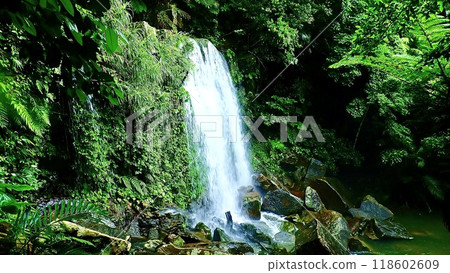 Gata Falls on Iriomote Island, Yaeyama Islands, Okinawa Prefecture Gata Falls on Iriomote Island, Yaeyama Islands, Okinawa Prefecture 118602609