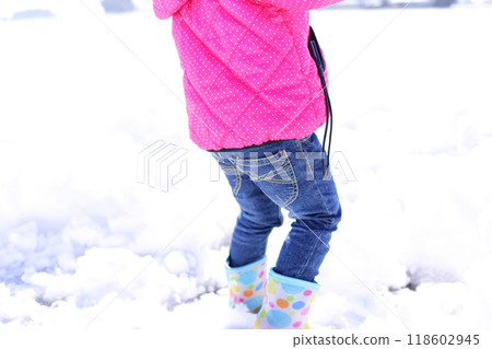 雪蓋 118602945
