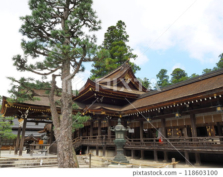 滋賀縣多賀大社參拜殿 8 月 118603100