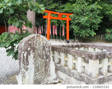 滋賀縣多賀大社生命石八月 118603101