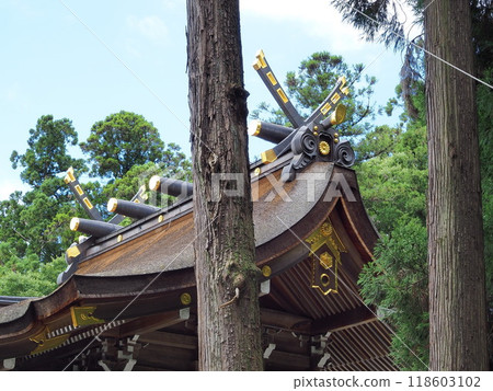 滋賀縣多賀大社本堂 八月 118603102