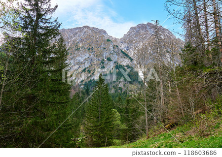Mountain landscape with green meadow, surrounded by pine forests and snow-capped peaks under clear sky. Tatra mountains in Zakopane, Poland. Giewont summit Mountain landscape with green meadow, surrounded by pine forests and snow-capped peaks under clear sky. Tatra mountains in Zakopane, Poland. Giewont summit 118603686
