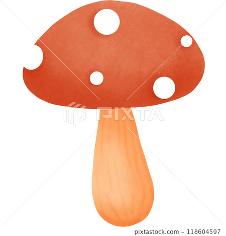 Autumn forest Autumn forest 118604597