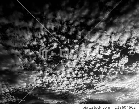 單色世界~秋天的天空~ 單色世界~秋天的天空~ 118604602