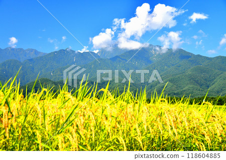 從白州町（山梨縣北斗市）眺望貝駒岳 [2024.9] 118604885