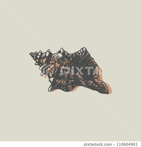 Black and white vector illustration of a seashell demonstrating photocopy effect. 118604901