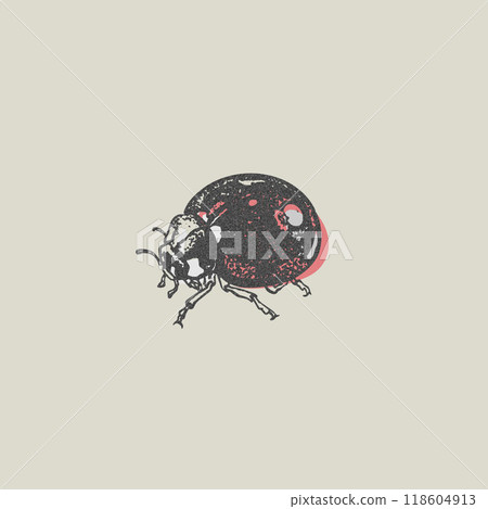 Vector illustration in the style of a photocopy with a ladybug on a gray background. 118604913