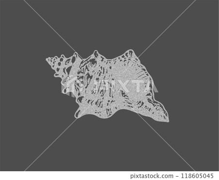 Grainy seashell retro negative photocopy effect, vector stipple dots texture, Y2K mollusk conch, marine spiral snail Grainy seashell retro negative photocopy effect, vector stipple dots texture, Y2K mollusk conch, marine spiral snail 118605045
