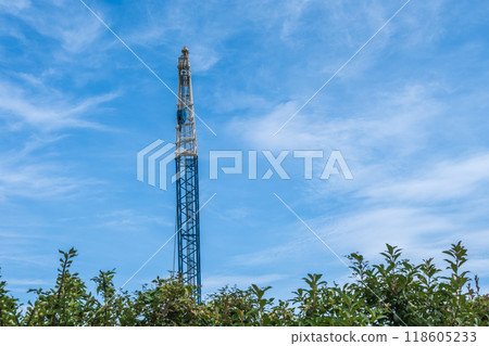 Flower beds and cranes in the green space Flower beds and cranes in the green space 118605233