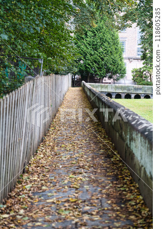 英國切斯特的城堡牆 118605285