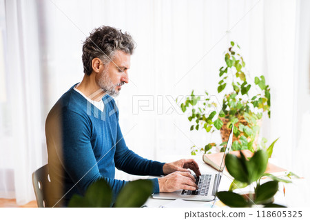 Handsome man working from home office, sitting at desk with laptop, smiling. Telecommuting and home office. Handsome man working from home office, sitting at desk with laptop, smiling. Telecommuting and home office. 118605325