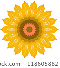 sunflower isolated on white background 118605882