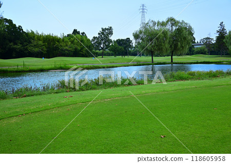 Golf course in midsummer, pond, no one 118605958