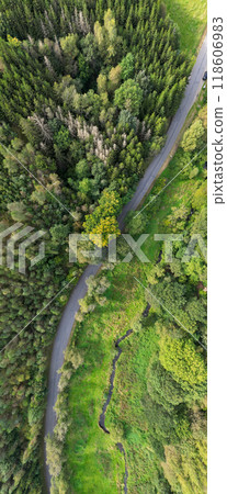 A Captivating Aerial View Showcasing a Lush Green Forest Along with a Winding Path A Captivating Aerial View Showcasing a Lush Green Forest Along with a Winding Path 118606983