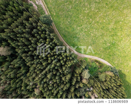 An Aerial View Capturing the Lush Green Forest along with a Scenic Meadow Pathway 118606989