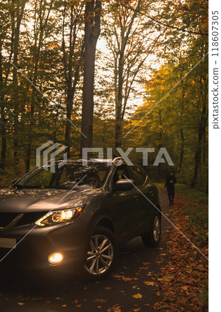 Autumn SUV in Scenic Forest 118607305