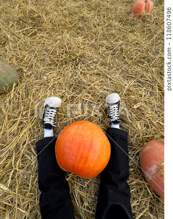 Person holding a large orange pumpkin by the stem Person holding a large orange pumpkin by the stem 118607496