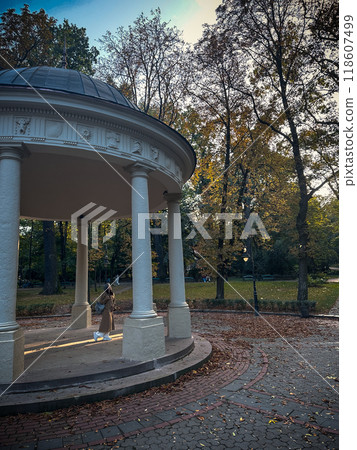Person standing under gazebo in autumn park Person standing under gazebo in autumn park 118607499