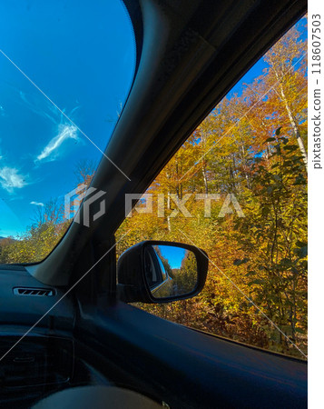 Autumn Reflection in Car Side Mirror 118607503