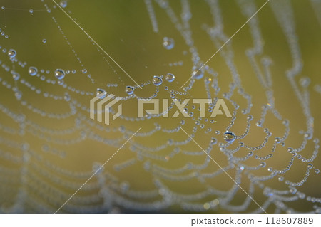 Image material of morning dew drops and light Image material of morning dew drops and light 118607889