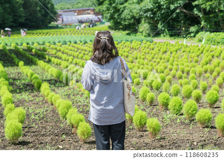 [Blue Kochia and a Woman] 118608235