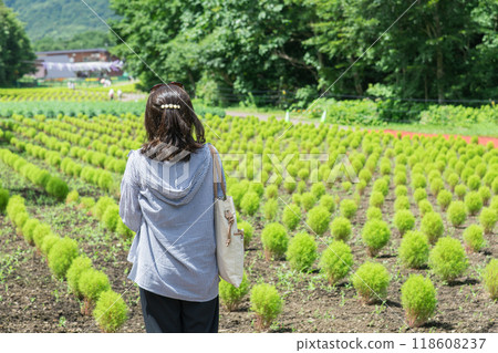 [Blue Kochia and a Woman] 118608237