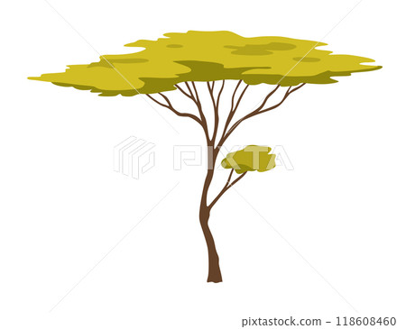 Three shapes of beautiful trees in African nature, vector illustration isolated no background 118608460