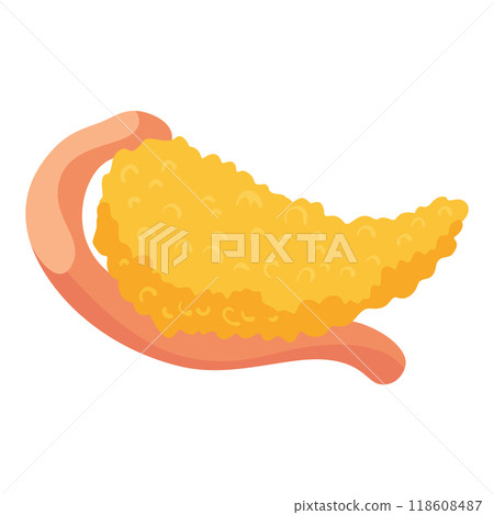 Internal human body organ - pancreas, info poster. Medical anatomy infographic element. Medicine concept, healthcare. Vector illustration Internal human body organ - pancreas, info poster. Medical anatomy infographic element. Medicine concept, healthcare. Vector illustration 118608487