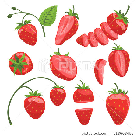 Fresh and Delicious Collection of Strawberries for Your Culinary Creations Fresh and Delicious Collection of Strawberries for Your Culinary Creations 118608493