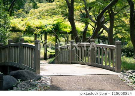 Autumn's Hibiya Park Autumn's Hibiya Park 118608834