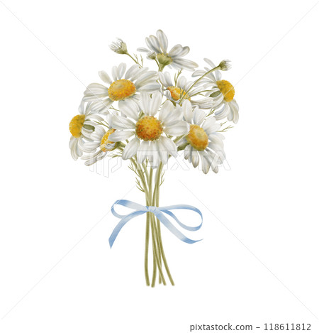 Daisies in a bouquet with blue ribbon for baby shower to celebrate the birth of a boy in soft colors in watercolor technique for your prints, patterns, cards, greetings, stickers Daisies in a bouquet with blue ribbon for baby shower to celebrate the birth of a boy in soft colors in watercolor technique for your prints, patterns, cards, greetings, stickers 118611812