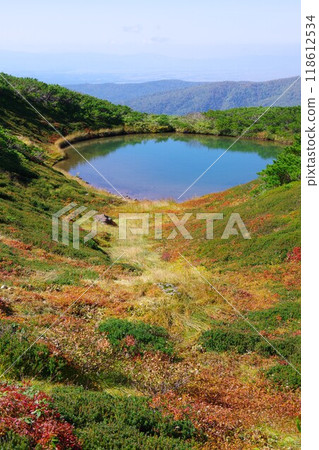 北海道旭岳、滿月濕地秋葉季節 118612534