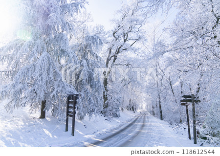 Winter landscape with snow-covered trees and road Winter landscape with snow-covered trees and road 118612544
